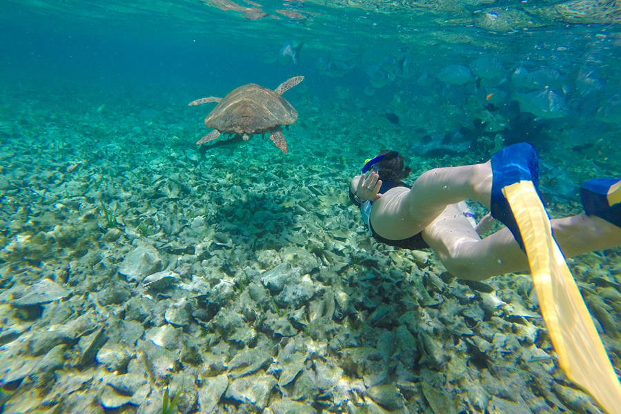 Snorkeling w Belize