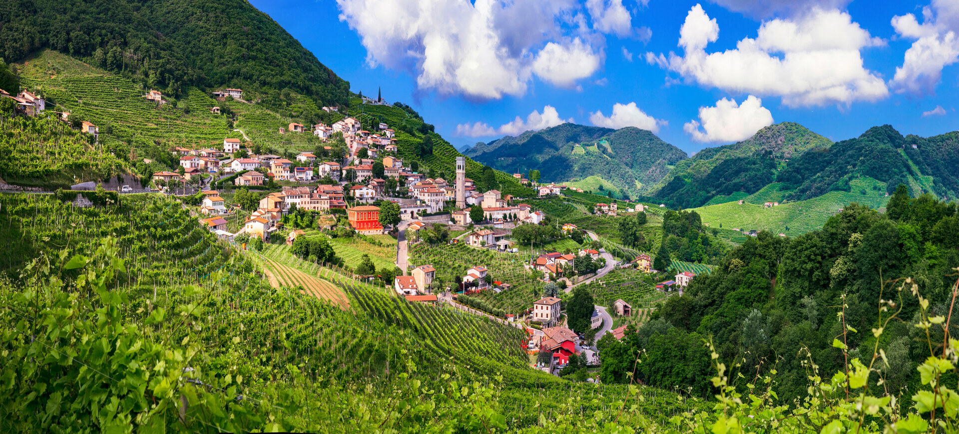 Winnice Gardy i wzgórza Prosecco